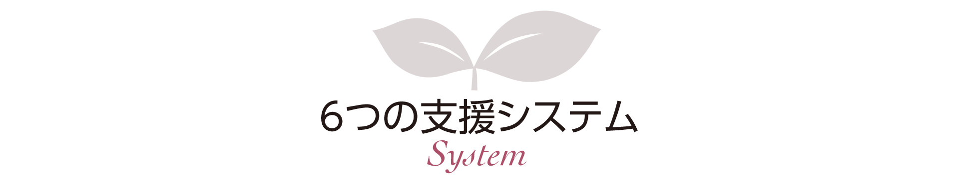 6つの支援システム